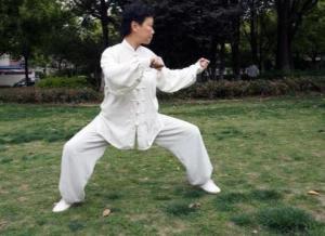 媒体爆料混元太极拳视频,传统武术与现代视角的碰撞